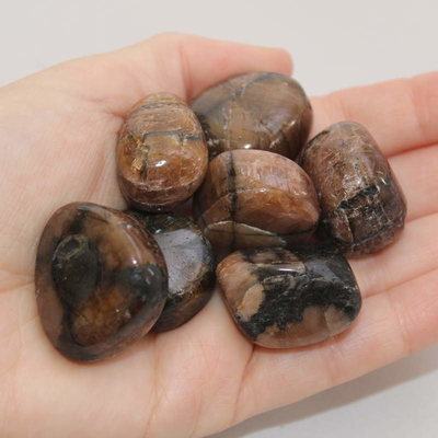 Chiastolite Polished