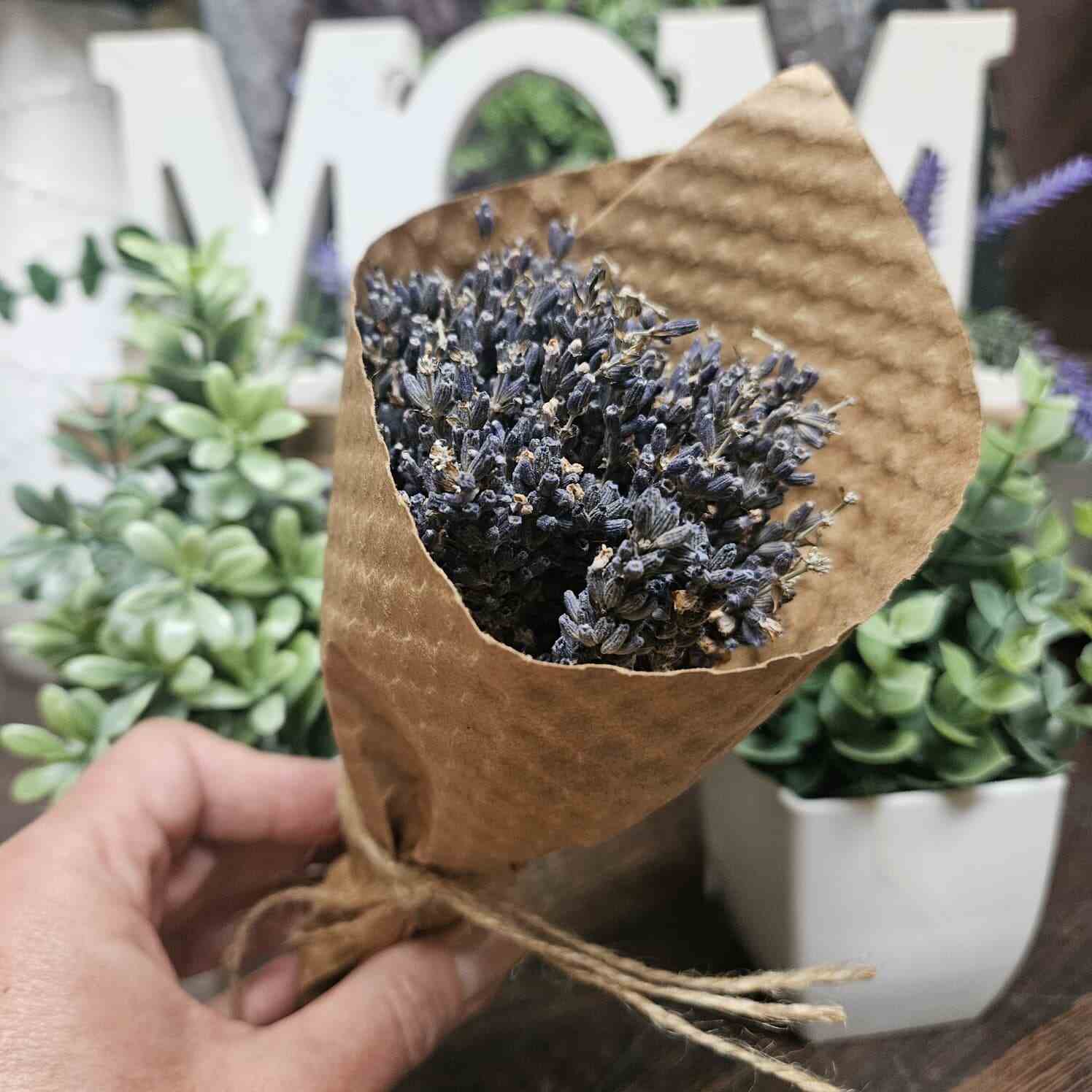 Herbs - French Lavender